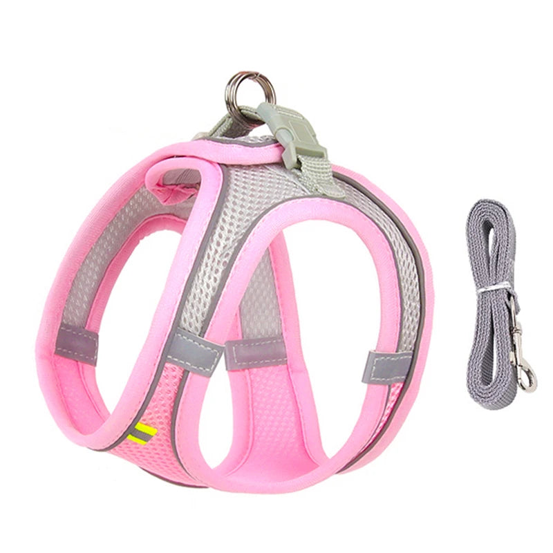 Cat Harness