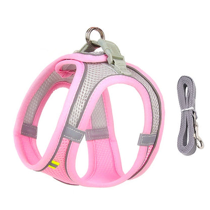 Cat Harness
