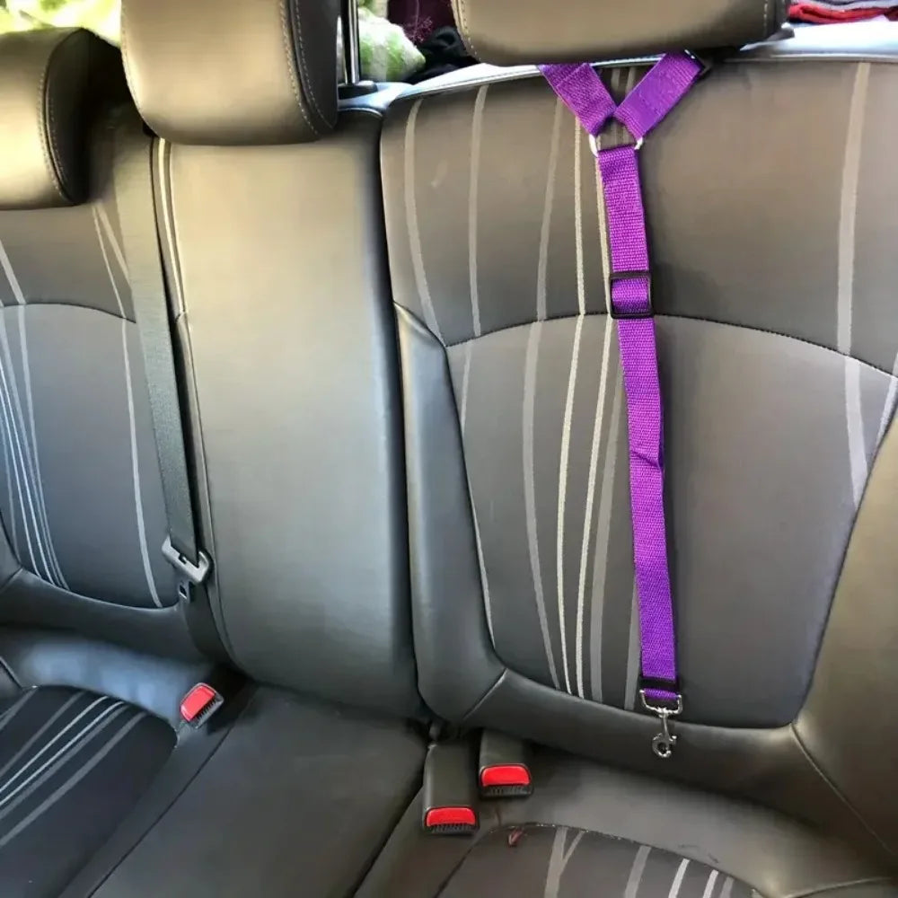 Car Seat Belt