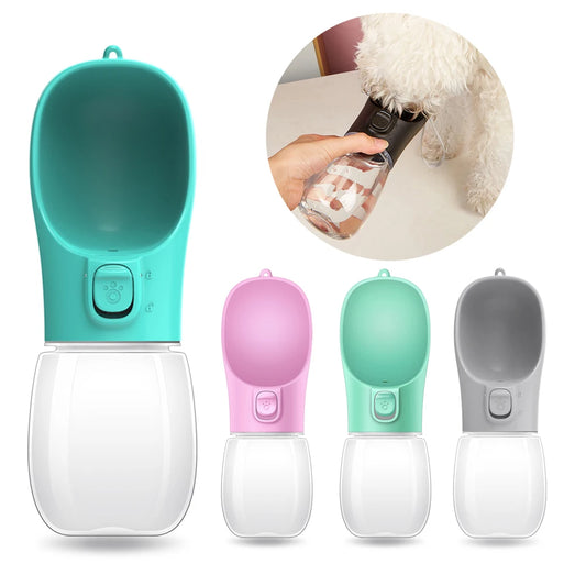 Portable Water Bottle